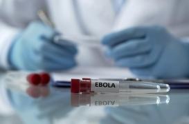 Ebola Bundibugyo : un traitement est actuellement testé 