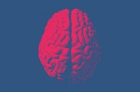Alzheimer : certains cerveaux s'en protègent moins bien que d'autres