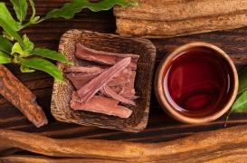 Drogue : l’ayahuasca aiderait à réduire les consommations