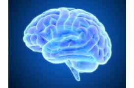 Quand le froid sauve le cerveau...