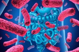 Microbiote intestinal : si les premières années de vie sont essentielles, rien n'est joué à 5 ans