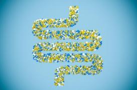 Parkinson : et si la maladie commençait dans l'intestin ?