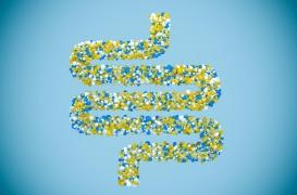 Microbiote : le manipuler pourrait changer nos comportements alimentaires