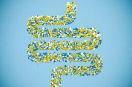 Les bactéries de notre microbiote contrôlent aussi notre sommeil