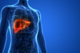 Les compléments alimentaires augmenteraient le risque de lésions hépatiques