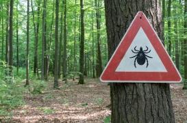 Il faut prendre des précautions contre la maladie de Lyme