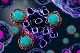 Cancer : des bactéries « cheval de Troie » reprogrammées pour détruire les tumeurs