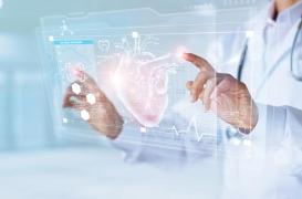 Une nouvelle technique régénérative pour réparer le muscle cardiaque