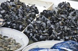 Rappel de moules Carrefour et Intermarché contenant des toxines paralysantes