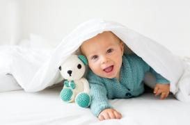 La dénomination guide la façon dont les nourrissons de 12 mois encodent et mémorisent les objets