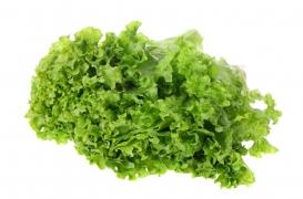 Diabète : faire pousser une protéine dans la laitue pour guérir les fractures ? 