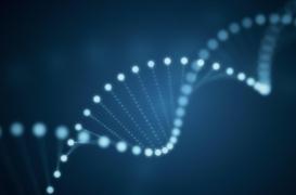 Un gène commun entre l'autisme et le syndrome Gilles de la Tourette