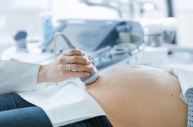 Infertilité : ce neurone pourrait ouvrir la voie à de nouveaux traitements