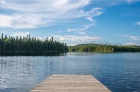 Une amibe mangeuse de cerveau tue un homme en Floride 