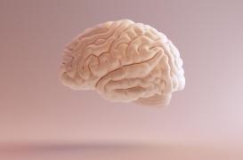 Il meurt de démence à 24 ans : le don de son cerveau peut-il faire avancer la science ?