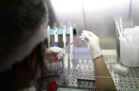 PMA : les absences médicales seront prises en charge par l’employeur