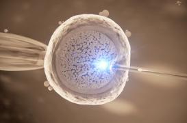 FIV : 26 femmes auraient été victimes d'une erreur d'insémination