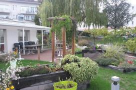 Journée Alzheimer : des jardins thérapeutiques fleurissent en région