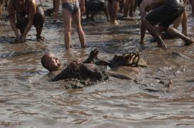La coprophagie est liée à une atrophie du cerveau