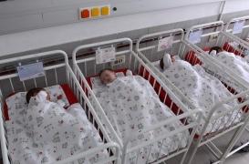 Pays-Bas : l’ADN de l’ex-directeur d’une banque de sperme analysé