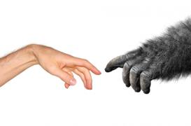 Microbiote : nos intestins hébergent des bactéries ancestrales 