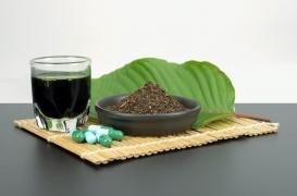 L’auto-médication au kratom peut se révéler dangereuse pour soigner l'alcoolisme