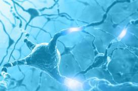 Alzheimer : les traitements du diabète pourraient être efficaces