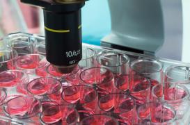 Crispr : des Chinois utilisent des embryons humains pour contrer le sida