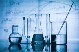 Maisons-Alfort : les experts de la santé animale soufflent 115 bougies 