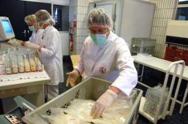 Lait maternel : la France manque de donneuses