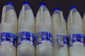 Pesticides : une étude associe lait contaminé et maladie de Parkinson