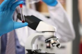 Diabète de type 2 : le rôle du glucose dans l’inflammation remis en question