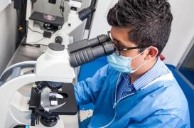 Antibiotiques : des chercheurs pensent avoir découvert le secret des bactéries multirésistantes