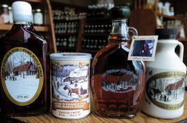 Du sirop d'érable pour lutter contre les bactéries