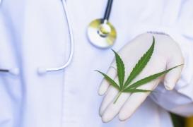 Cannabis : les enfants exposés durant la grossesse en subissent les conséquences psychologiques 