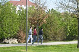Déserts médicaux : la carte de France du surpoids