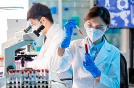 Un modèle pour prédire les réactions du système immunitaire pourrait améliorer l’efficacité des vaccins 