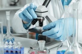 Cancer de la prostate : pourquoi la biopsie peut être négative pendant le suivi de la maladie ?  