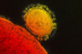 Coronavirus : 9 cas confirmés en Corée du Sud 