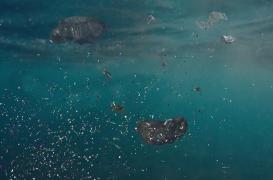 Les microplastiques présents dans l'eau pénètrent plus facilement l’organisme