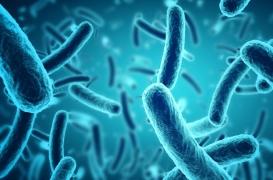 Un médicament anti-rhumatisme améliore l’efficacité des antibiotiques 