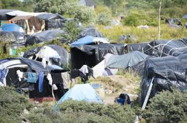 Jungle de Calais : la mission écarte le risque d'une épidémie