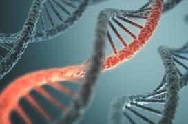 Cette femme ne ressent aucune douleur grâce à une mutation génétique