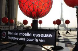 Don de moelle osseuse : lutter contre les idées reçues