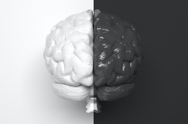 Une adolescente vit normalement avec seulement la moitié de son cerveau