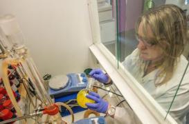 Cancer du pancréas : une molécule diminue la chimiorésistance