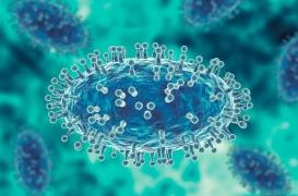 Variole du singe : 16 cas confirmés en France