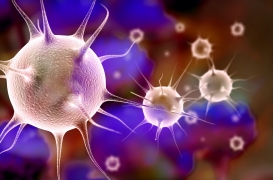 Mononucléose : une Américaine de 17 ans meurt de complications rarissimes 