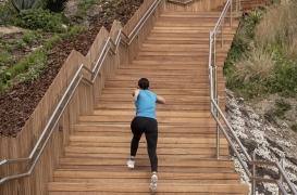 Pour surveiller votre cœur, montez les escaliers  