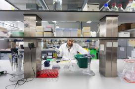 Mucoviscidose :  un médicament pour combattre la forme la plus fréquente